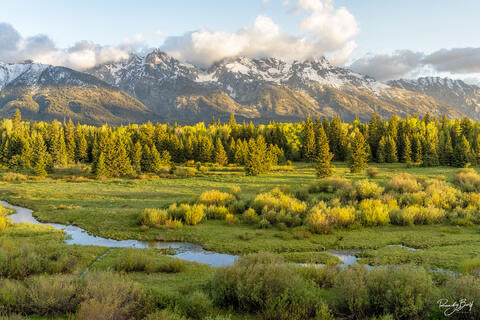 The Essence of AI-Generated Art: Is It Truly Art?