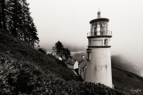 PRINTING ON HAHNEMUHLE BARYTA 315 GSM PAPER