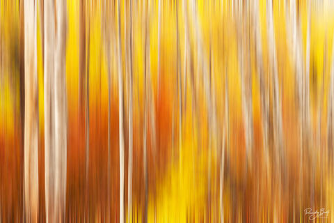 ABSTRACT PHOTOGRAPHY WALL ART | EVOKING IMAGINATION