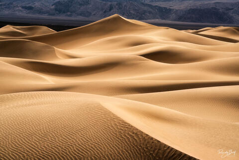 Exploring Winery Art Collections in Napa Valley: Where Art and Wine Converge