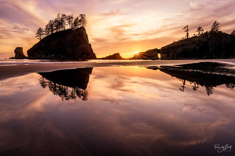 Choosing Fine Art Nature and Landscape Photographs for you Home