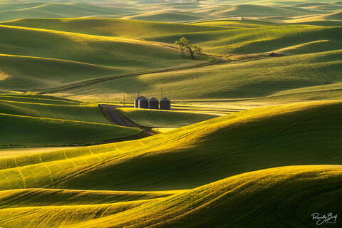 THE PALOUSE, TUSCANY OF AMERICA