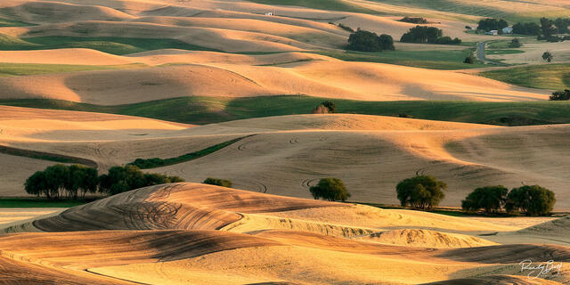 Sunset from Steptoe Butte during the harvest season in August in the Palouse.