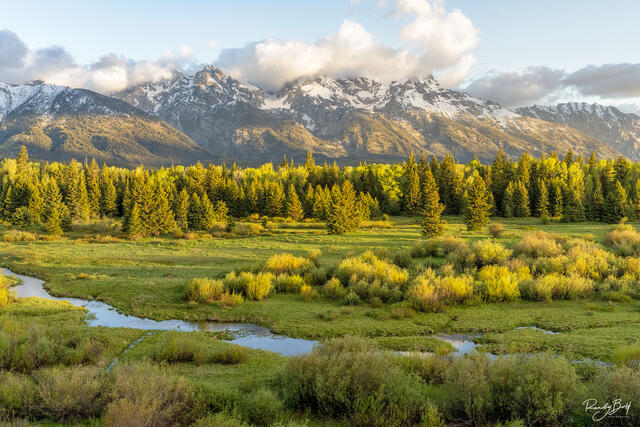 NEW RELEASES | FINE ART NATURE AND LANDSCAPE PRINTS FOR SALE