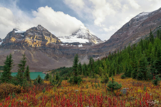 Mount Assiniboine shining in the evening sun after the storm clears and the start of the fall color.