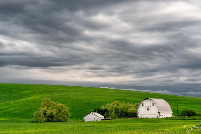 White barn in the rolling fields of wheat with storm clouds near Colfax, Washington.