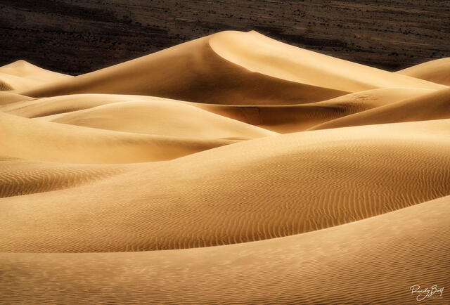 Mesquite dunes in Death Valley national park during sunset