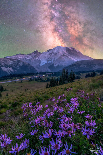 The Milky Way galaxy over mount rainier with wildflowers and the Sunrise lodge