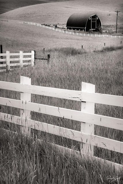 a lone barn sits in a field in the Palouse region of washington