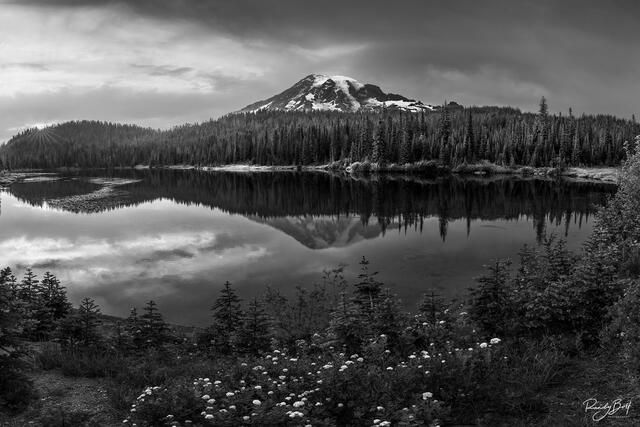In this striking black and white photograph of Reflection Lakes in Mount Rainier, nature's contrasts take center stage.