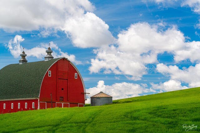 ROLLING HILLS OF THE PALOUSE | PREMIUM FINE ART PHOTOGRAPHY