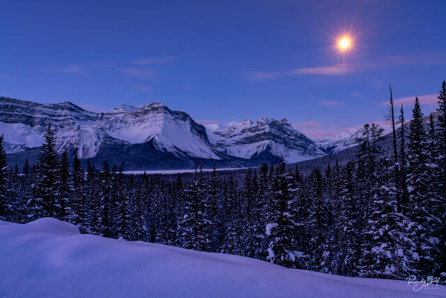 full moon over tree Icefields parkway in Banff Canada