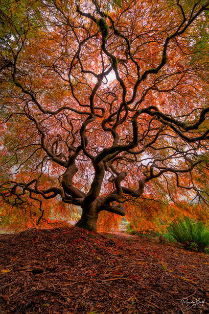 VERTICAL WALL ART PHOTOGRAPHY PRINTS | PREMIUM FINE ART