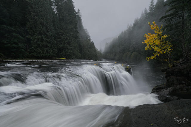 Lewis River Falls with fall color in October