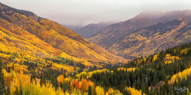 fall color on the million dollar highway near Red Mountain Pass.