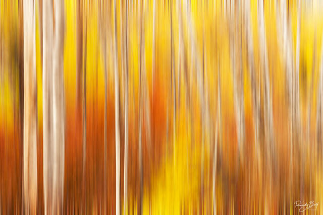 ABSTRACT | MACRO PHOTOGRAPHY FINE ART PRINTS FOR SALE