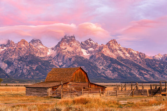 Grand Teton Photography Workshop June 10-13 2025