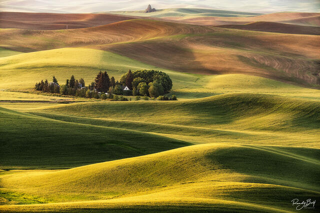 farmstead in the golden light from sunrise in the Palouse