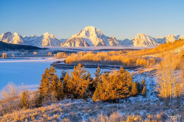 Golden light of sunrise washing over Oxbow Bend and Mount Moran in Grand Teton National Park.