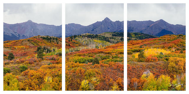 dallas divide view with mount sneffels in the background in the San Juan mountain range as a triptych print.