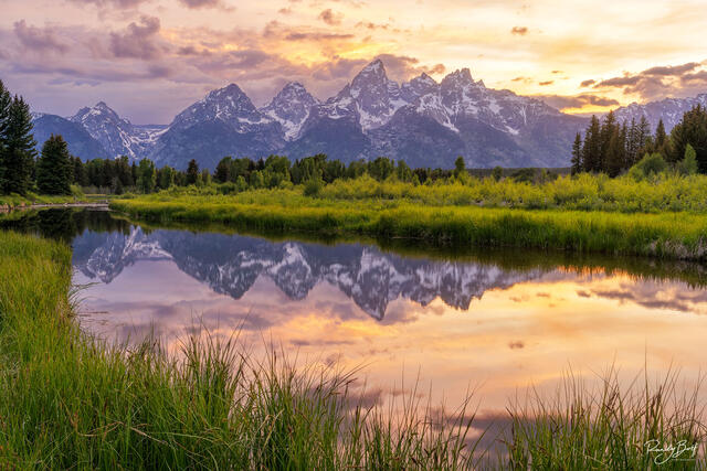 sunset at Schwabacher Landing with the Teton mountains reflected in the calm water. 