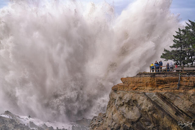 giant wave at shore acres park on the Oregon Coast