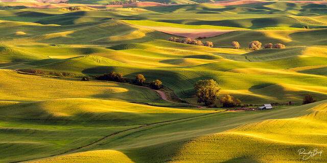 a lone barn from steptoe butte near Colfax in the Palouse region of Washington
