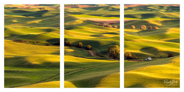 a lone silver barn panorama triptych from Steptoe Butte.