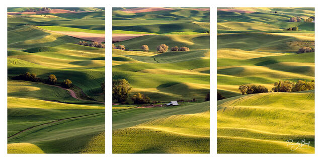 triptych print from Steptoe Butte in the Palouse region of Washington