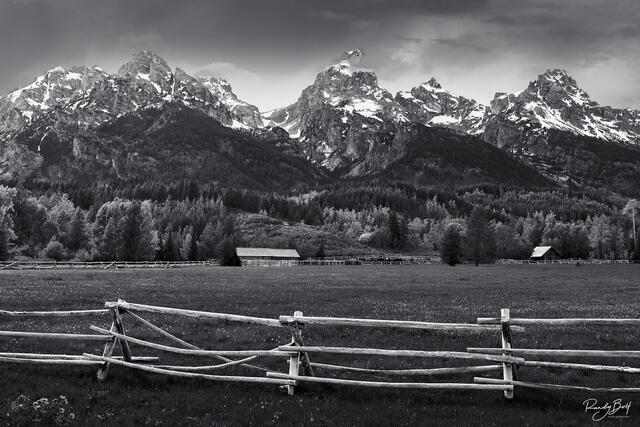 Black and white photo of the grand Teton mountains with fences and barns