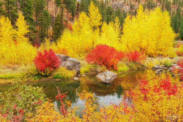 Tumwater canyon fall color using the oil paint filter in photoshop.