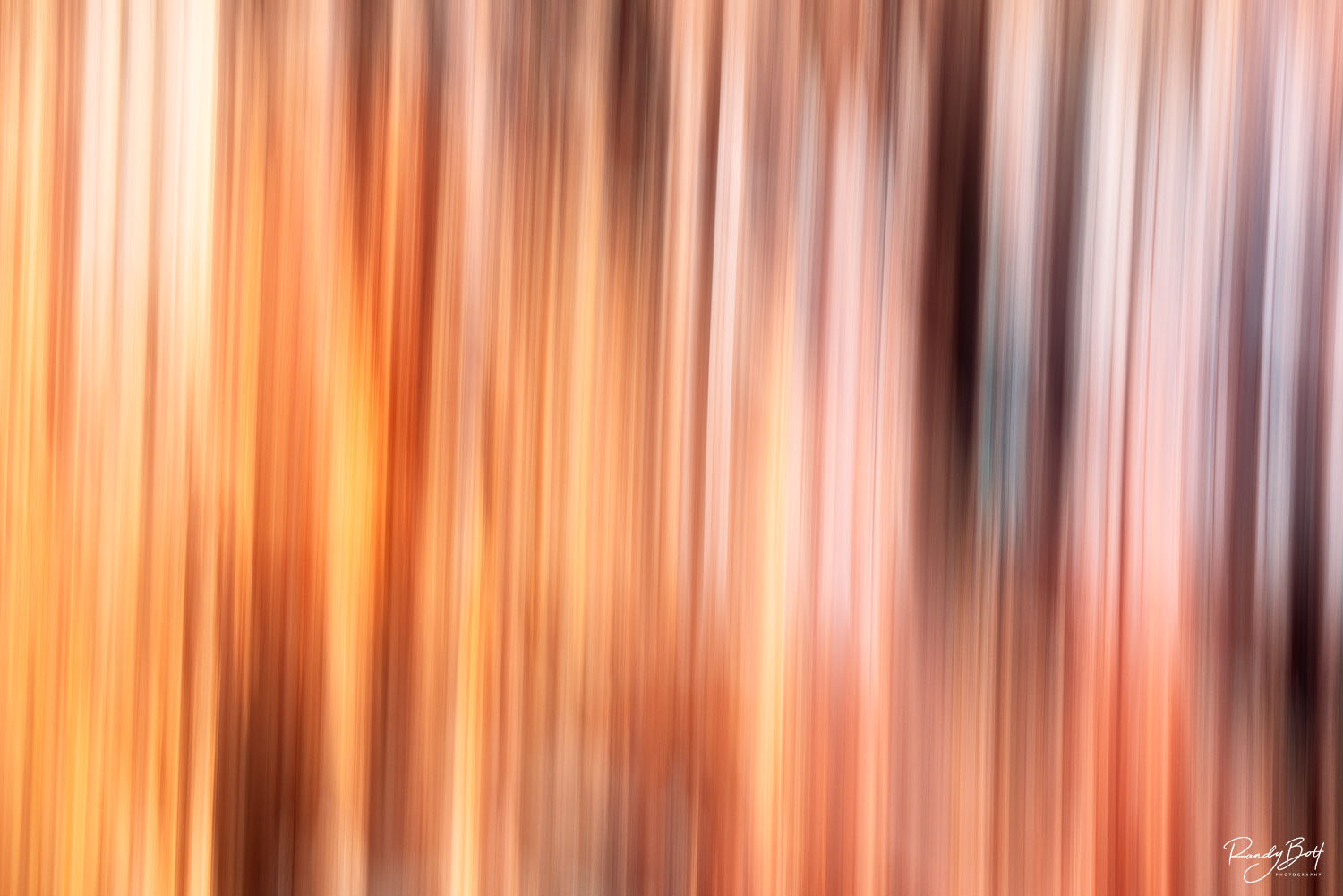 Warp Speed motion blur at bryce canyon national park