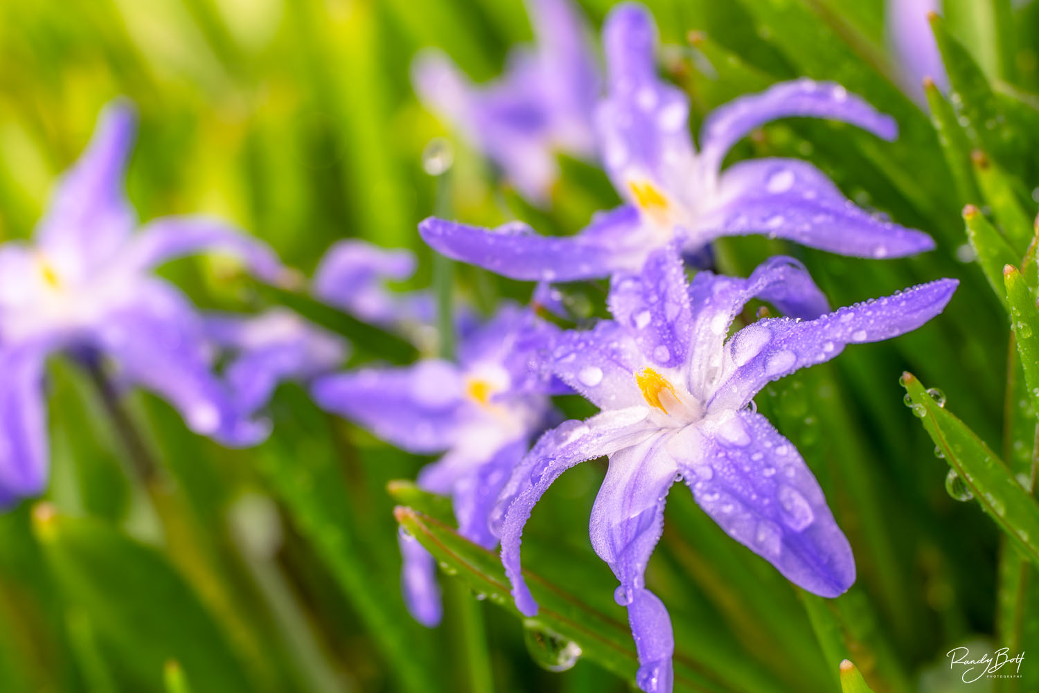 full frame camera is better than a smart phone for photos.