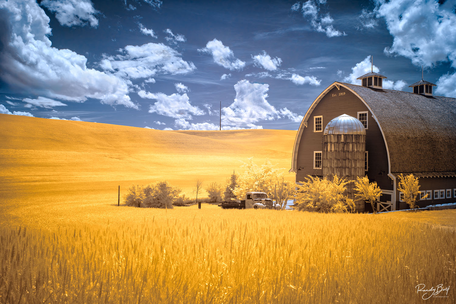 Infrared photographs for your home gallery.