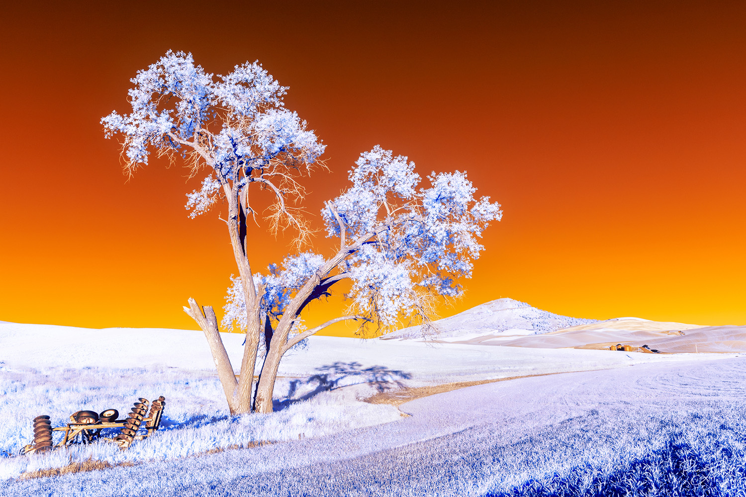 false color infrared of the Palouse with Steptoe butte in the background