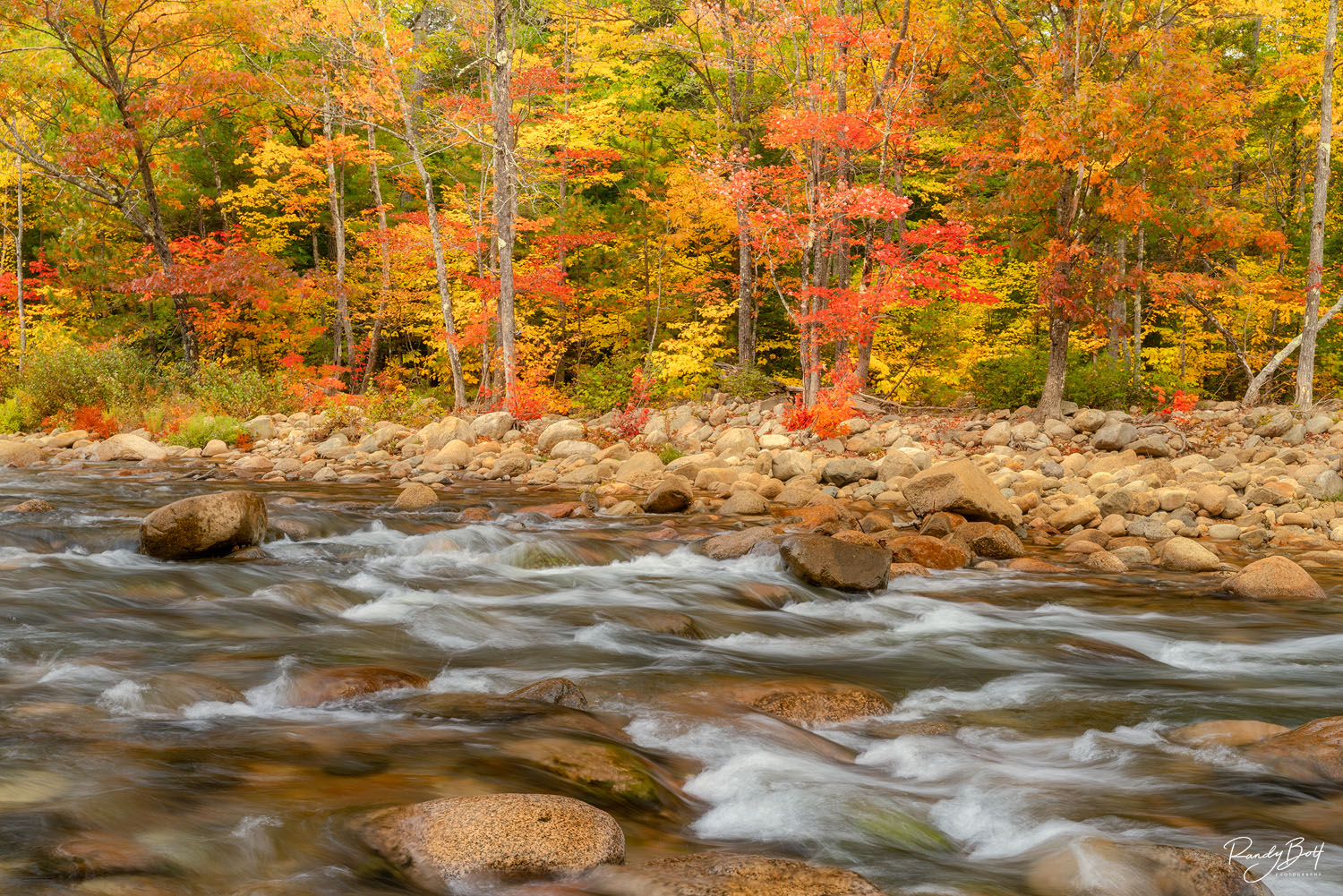 Swift River and fall color on the Kancamagaus highway in New Hampshire.