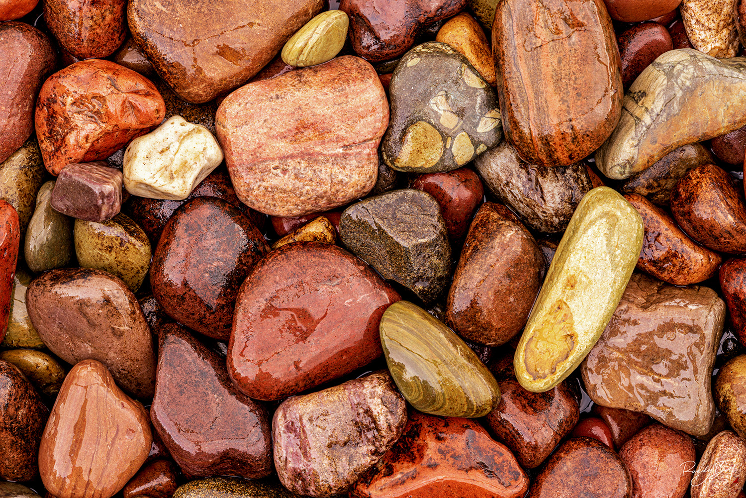 rocks on the beach at lake mcdonald in glacier national park.