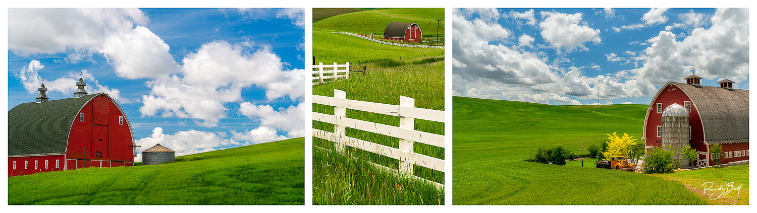 Triptych photos for your home gallery.