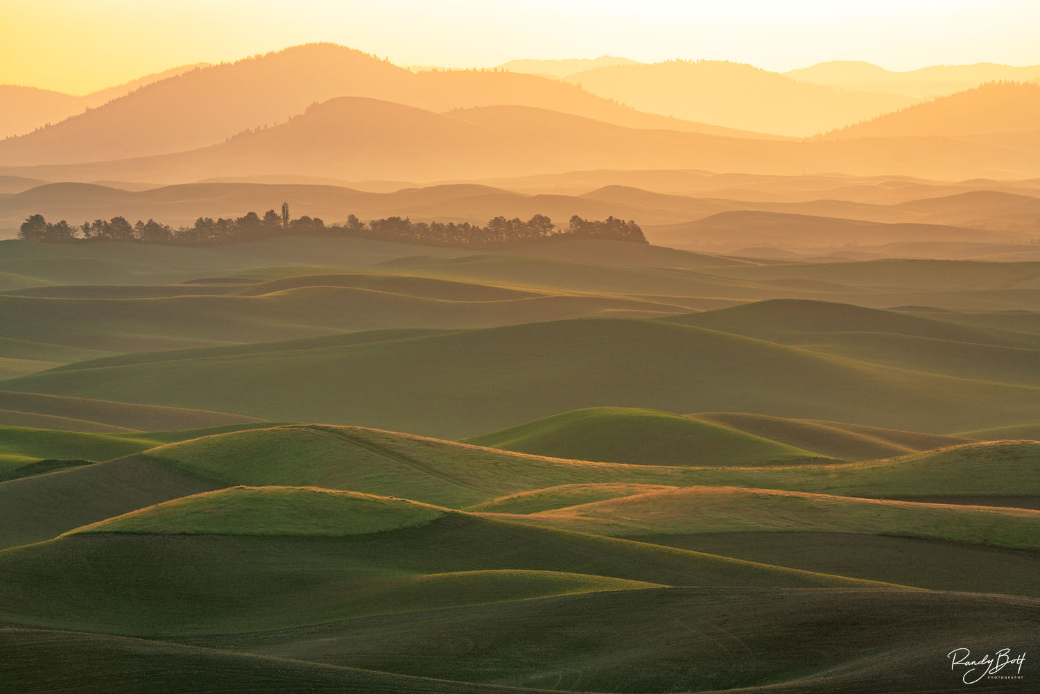 rolling hills of the Palouse during sunrise photographed from Steptoe Butte.