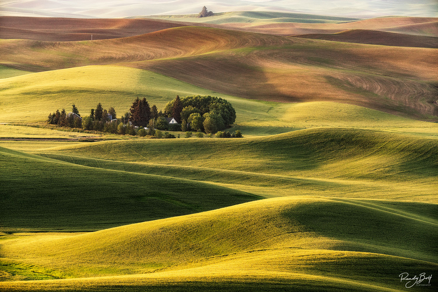 The Palouse area in Washington state is considered the Tuscany of America.
