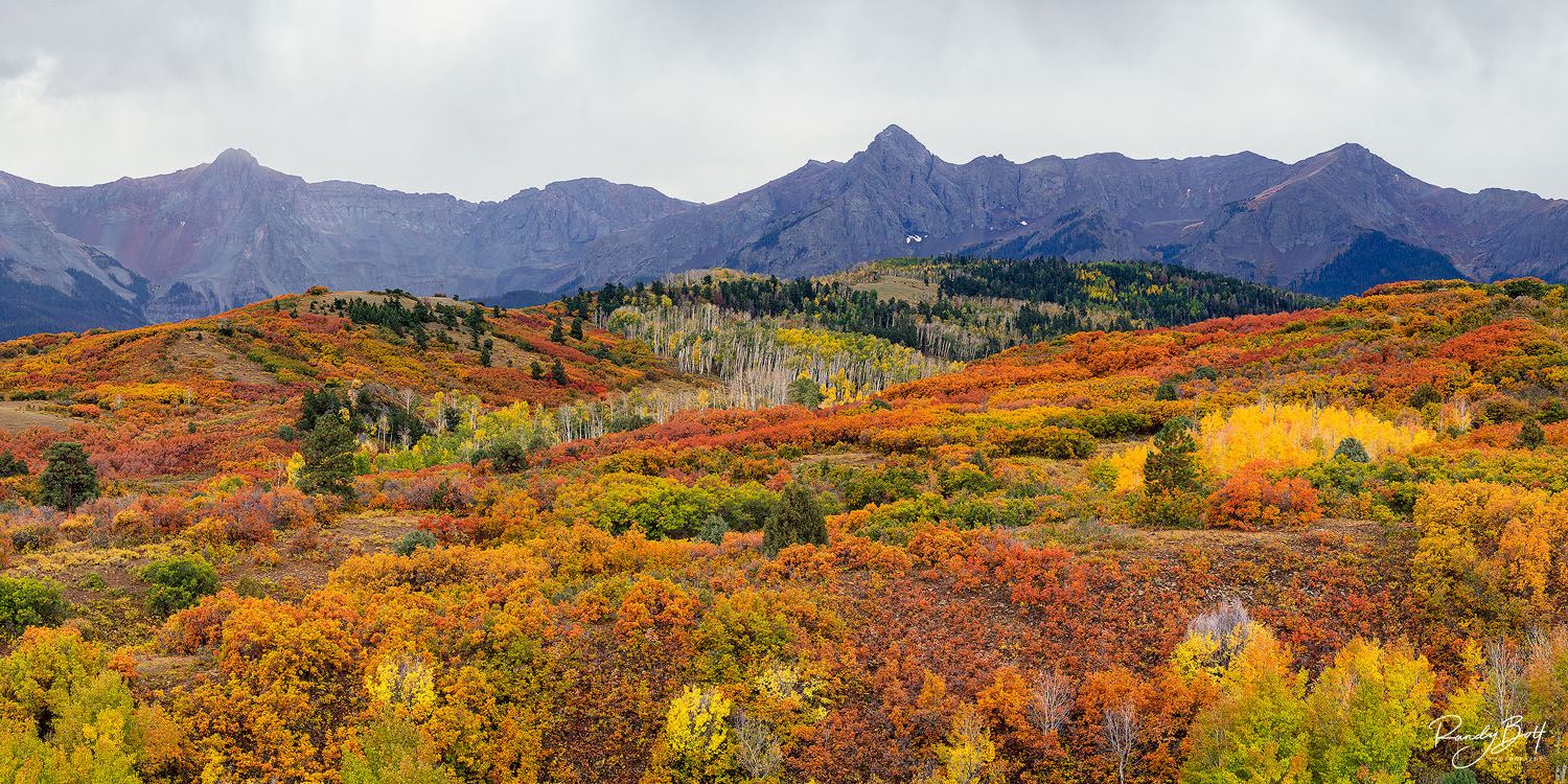 Best locations for fall color in Colorado.