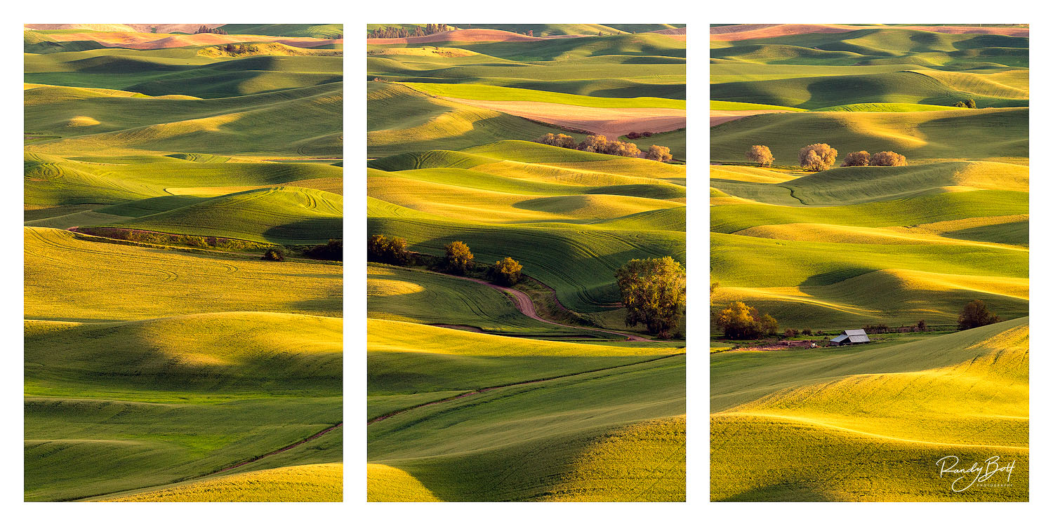 Triptych photographs to elevate your home gallery.