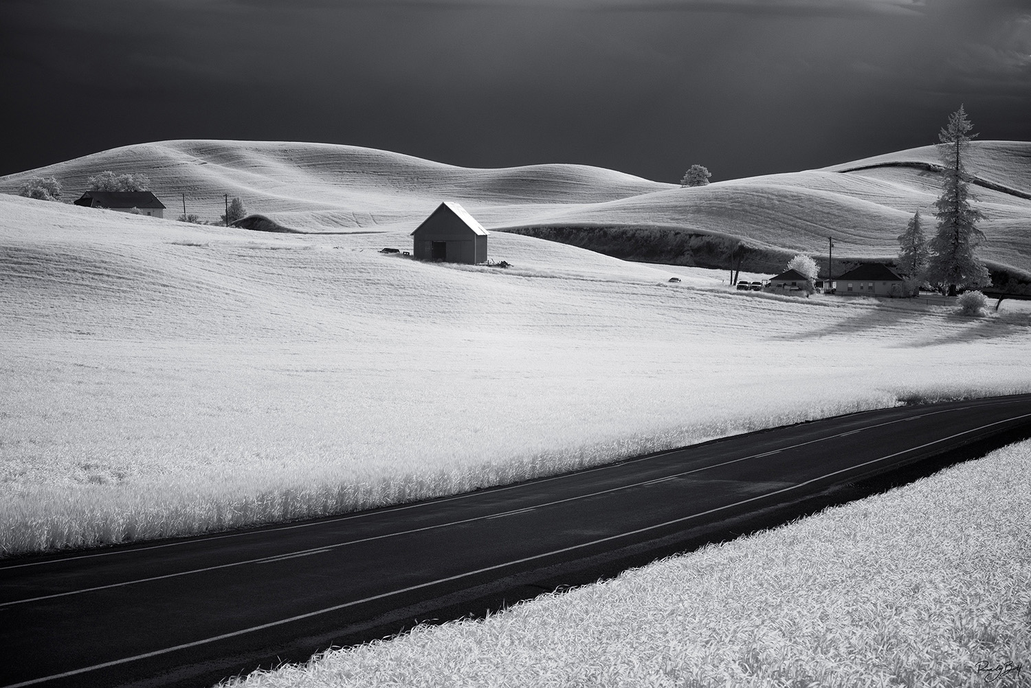 farmstead in the Palouse photographed with the 830 nm black and white infrared filter.